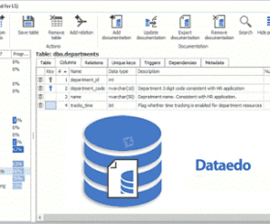 Dataedo v8.1.2 Enterprise Edition + Portable + License Key