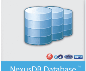 NexusDB v4.5018 Embarcadero Edition for D10.3 Rio Retail